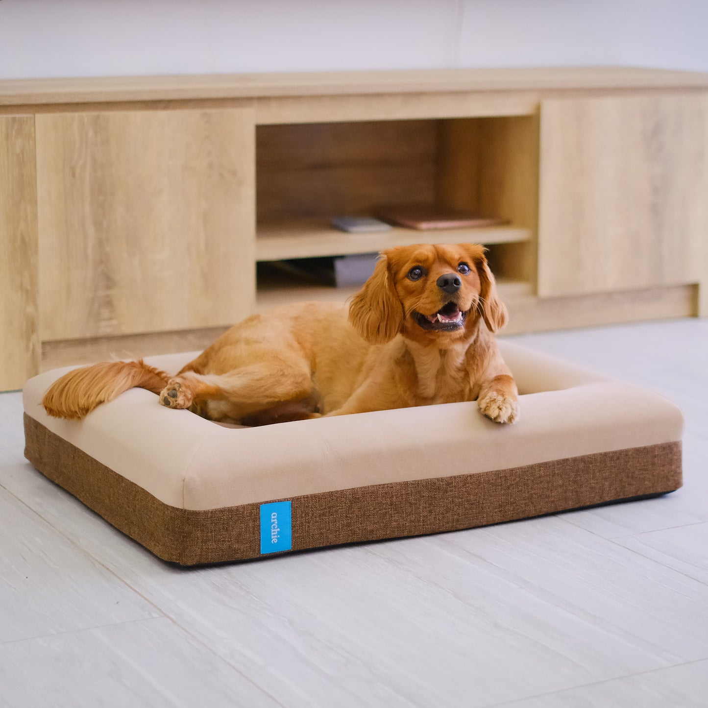 Archie Bed