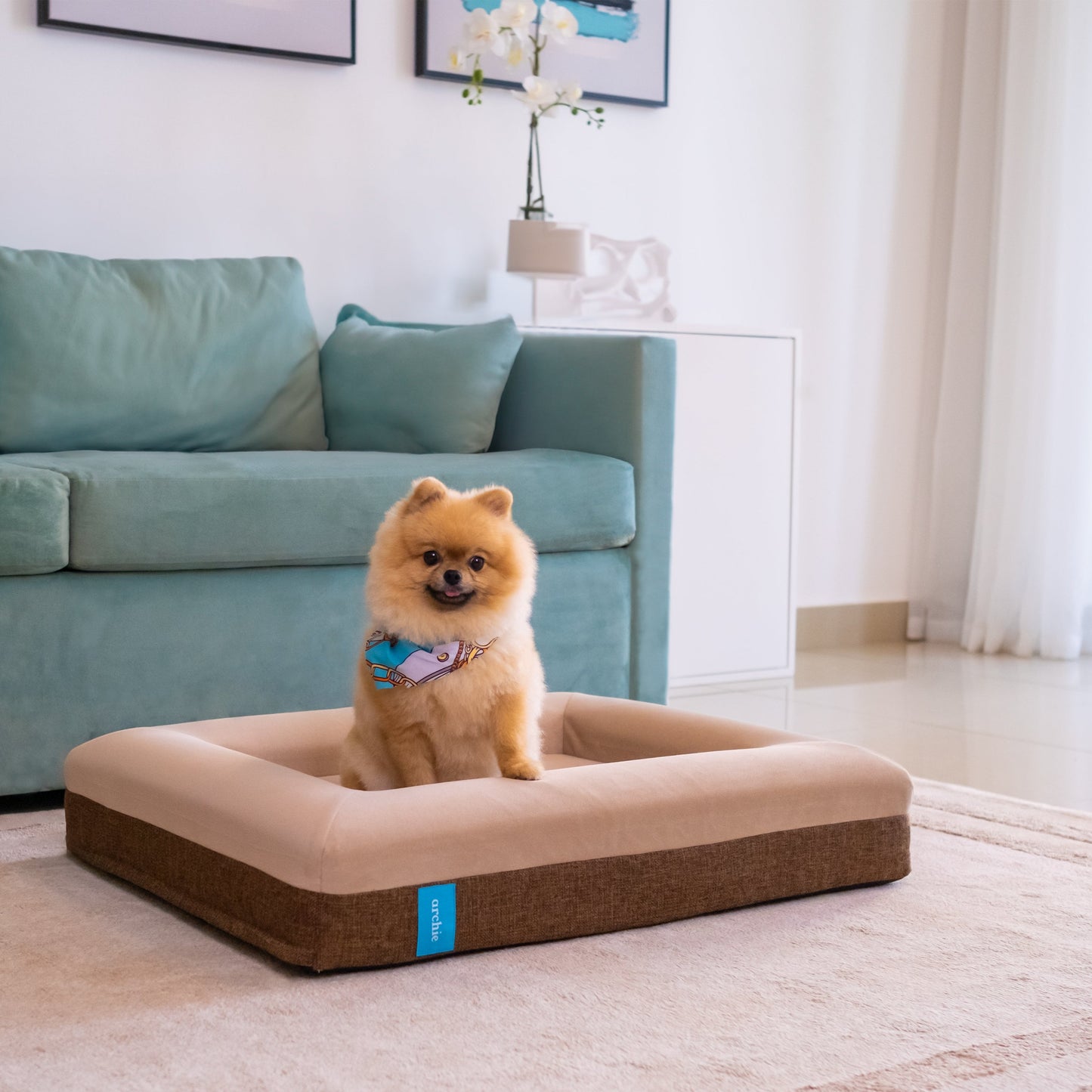 Archie Bed